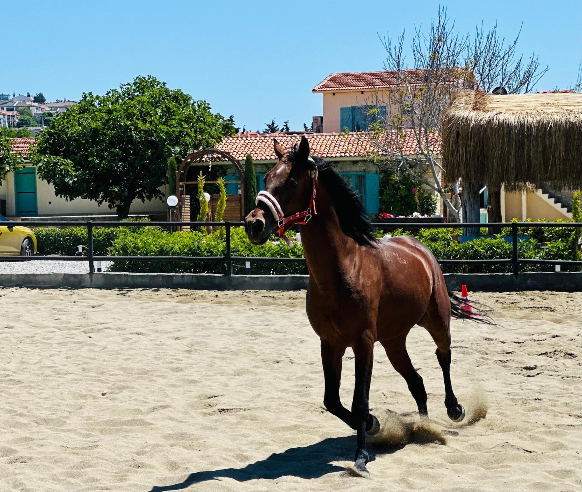 Ride And Stay Çeşme Exterior foto